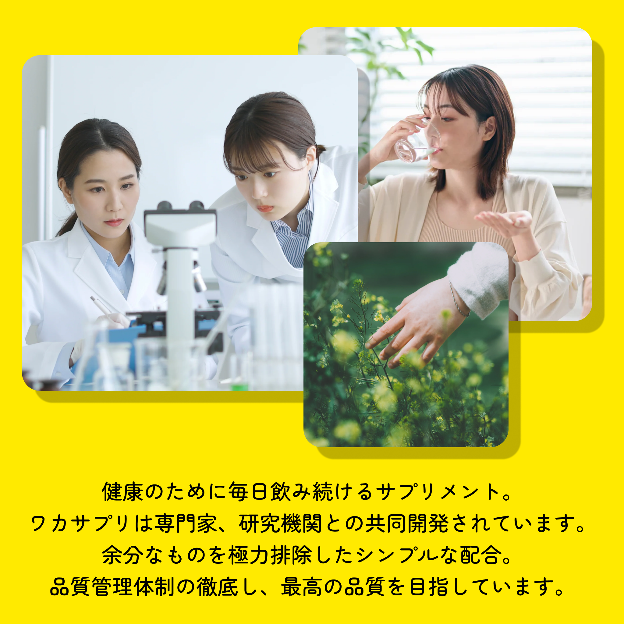 マンジャロ GIP/GLP1注射7.5mg＋ワカサプリ キャンペーンセット